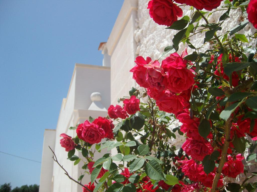 Masseria Nuova Guest House San Marzano di San Giuseppe Exterior foto