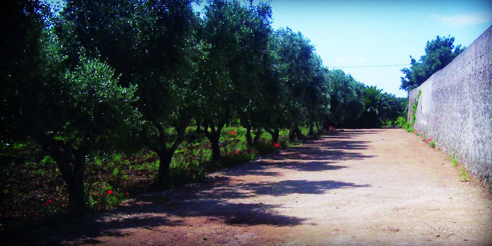 Masseria Nuova Guest House San Marzano di San Giuseppe Exterior foto